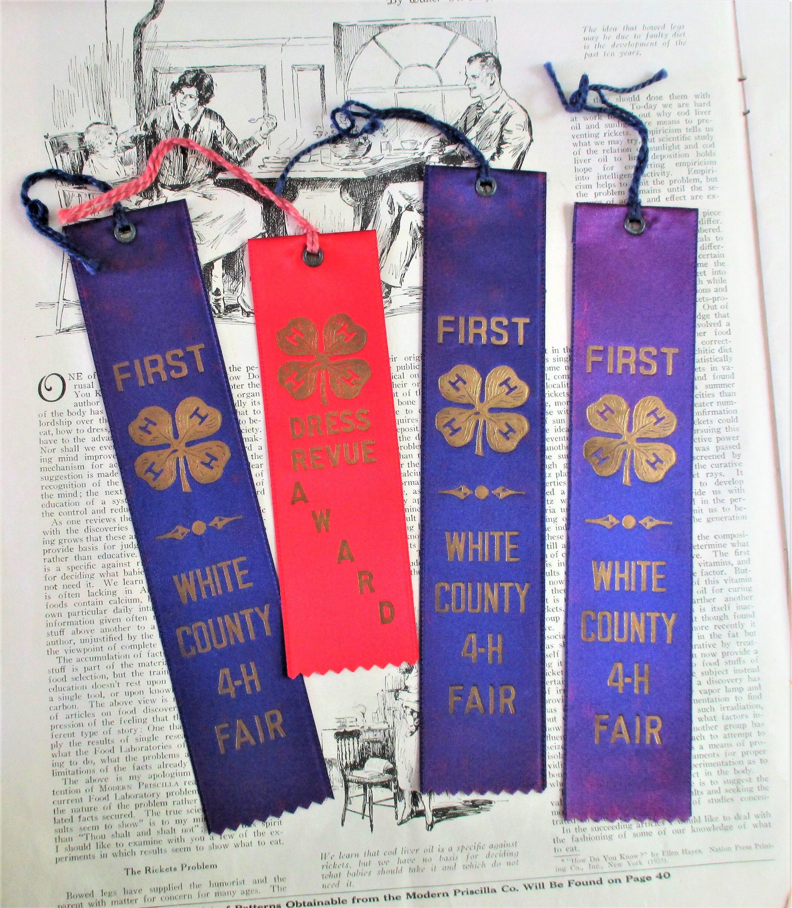 SALE Four Vintage Ribbons White County 4H Fair Ribbons 1956 Etsy