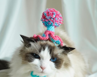 Personalizowana dwukolorowa czapka urodzinowa z pomponem dla zwierząt – idealna dla kotów i psów! Spersonalizowane kolory, akcesorium na przyjęcie dla zwierząt na urodziny