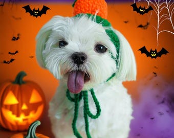 May include: A white dog wearing a green and orange Halloween costume. The dog has a green headpiece and a small orange pumpkin hat. Two carved pumpkins and bats are in the background, with a purple and orange gradient.