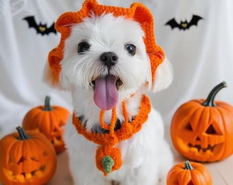 Crochet Pumpkin Hat for Pets – Handmade Halloween Cat Dog Costume, Cute Festive Pet Hat, Fall Photo Prop, Pet Outfit Gift Idea