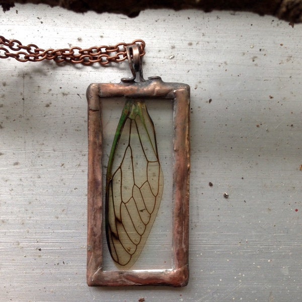 Cicada Wing Necklace Real Insect Jewelry