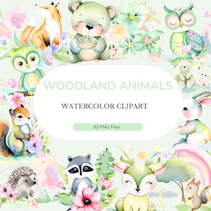 Aquarell PNG | Boho Aquarell Clipart | süße Waldtiere | Kinderzimmer für Tierbabys | Wald-Baby-Dusche-Clipart | Grüne Tiere PNG