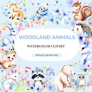 Aquarel PNG | Boho watercolor clipart | cute woodland animals | baby animals nursery | woodland babyshower clipart | boho animals PNG