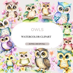 Cute watercolor owls | Aquarel PNG | Boho watercolor clipart | baby animals nursery | POD + Commercial use