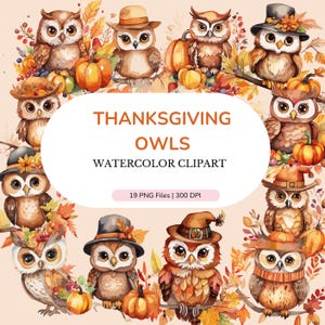 Thanksgiving-Eulen, süße Eulen, Thanksgiving-Aquarell-Clipart, Thanksgiving-Bundle, Clipart PNG, Tierbabys-Kinderzimmer, POD + kommerzielle Nutzung