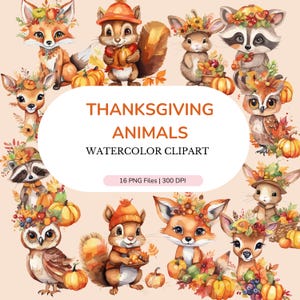 Thanksgiving-Tiere, Thanksgiving-Aquarell-Clipart, Thanksgiving-Bundle, Clipart PNG, Tierbabys-Kinderzimmer, POD + Kommerzielle Nutzung