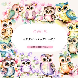 Niedliche Aquarell-Eulen | Aquarell PNG | Boho Aquarell Clipart | Kinderzimmer für Tierbabys | POD + Kommerzielle Nutzung