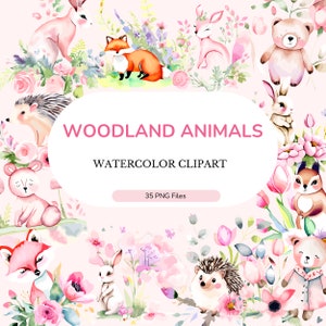 Boho Aquarell Clipart | süße Waldtiere | Kinderzimmer für Tierbabys | Wald-Baby-Dusche-Clipart | Boho Tiere PNG | Aquarell png