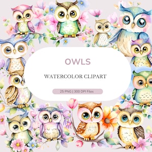 Niedliche Aquarell-Eulen | Aquarell PNG | Boho Aquarell Clipart | Kinderzimmer für Tierbabys | POD + Kommerzielle Nutzung