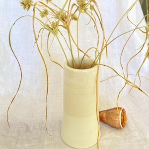 Peut inclure: Un vase en céramique crème contient des herbes séchées aux tons de beige et de vert. Un petit coquillage en spirale est posé à côté du vase. Le vase est cylindrique avec une base évasée. Le fond est un tissu blanc.