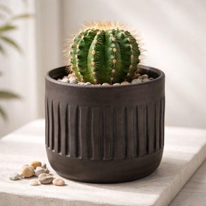 Cache Pot à cactus texturée à la main en Céramique Faïence Noire