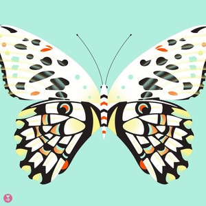 lime butterfly limited edition print