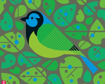 green jay limited edition print