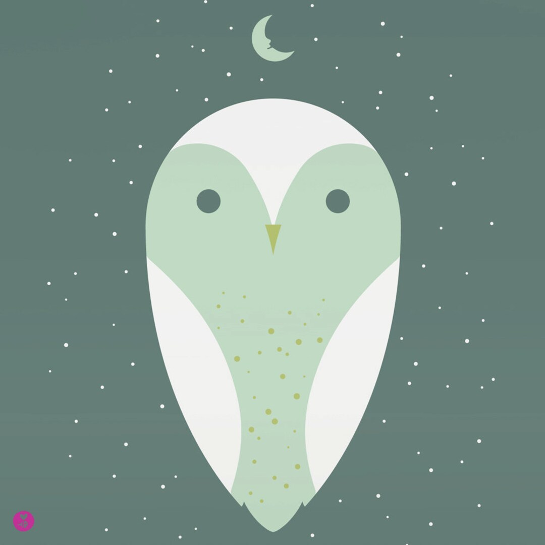 Barn Owl Large Limited Edition Print - Etsy