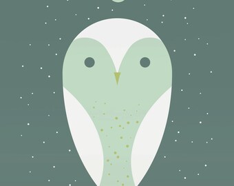 barn owl large limited edition print