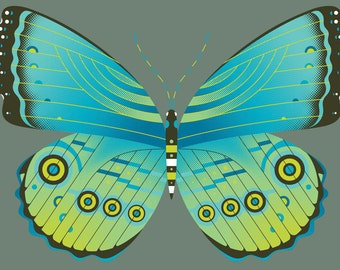 blue morpho butterfly limited edition print