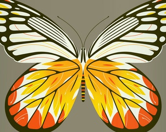 jezebel butterfly limited edition print