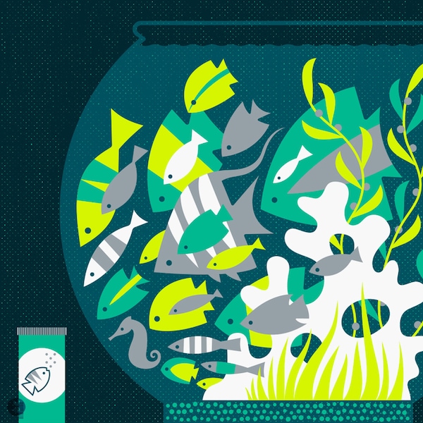 fish food limited edition print