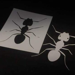 May include: Two black and white ant silhouettes on a white background. The ant on the left is facing right and the ant on the right is facing left.