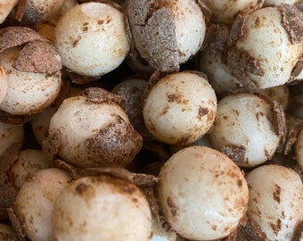 Gefriergetrocknete Charleston-Kaurollen aus Großbritannien – direkt aus den USA importiert | Knusprige, luftige und geschmackvolle Süßigkeiten | Tik Tok virale Süßigkeiten
