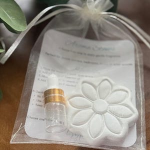 May include: Aroma Series gift set in a sheer white bag. The set includes a small glass bottle with a gold cap and a white daisy-shaped diffuser. The bag contains a card with instructions. The text on the card reads "Aroma Series".