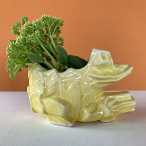 May include: A yellow ceramic frog planter with a green succulent plant inside. The frog planter has a textured surface and is shaped like a frog sitting on its hind legs.