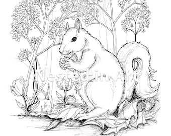 Adult Coloring Page - Squirrel Digital Download