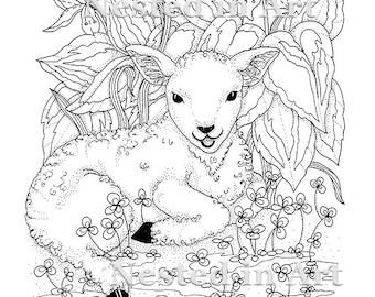 Punch Needle Pattern - Coloring Book page - Baby Lamb