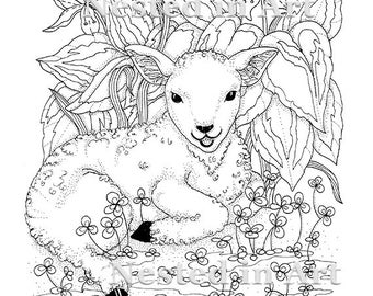 Punch Needle Pattern - Coloring Book page - Baby Lamb