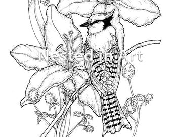 Punch Needle Pattern - Coloring Book page - Bluejay and Day Lilies