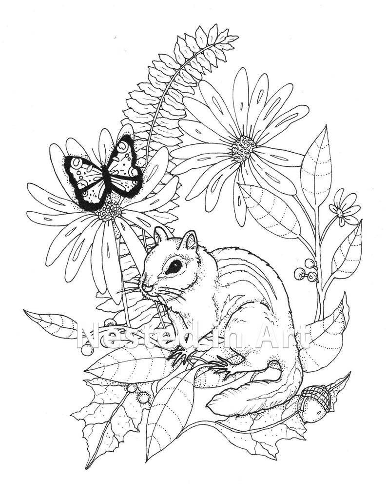 Adult Coloring Page Chipmunk and Butterfly DIGITAL DOWNLOAD Punch Needle Pattern image 1