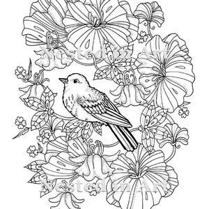 Download Punch Needle Pattern Coloring Book Page Birds With Etsy