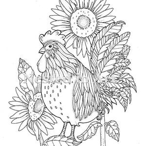 coloriage adulte coq avec des tournesols en telechargement etsy nuage
