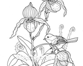 Adult Coloring Page - Bird and Lady Slipper Orchids DIGITAL DOWNLOAD - Punch Needle Pattern