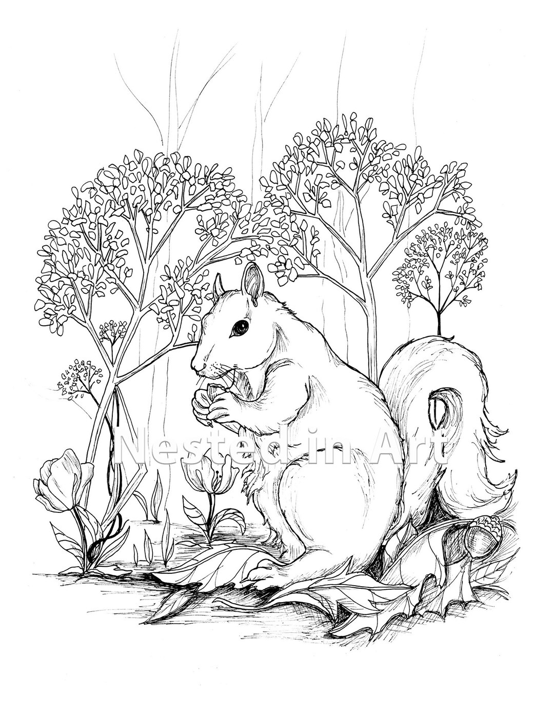 Adult Coloring Page - Squirrel Digital Download - Etsy