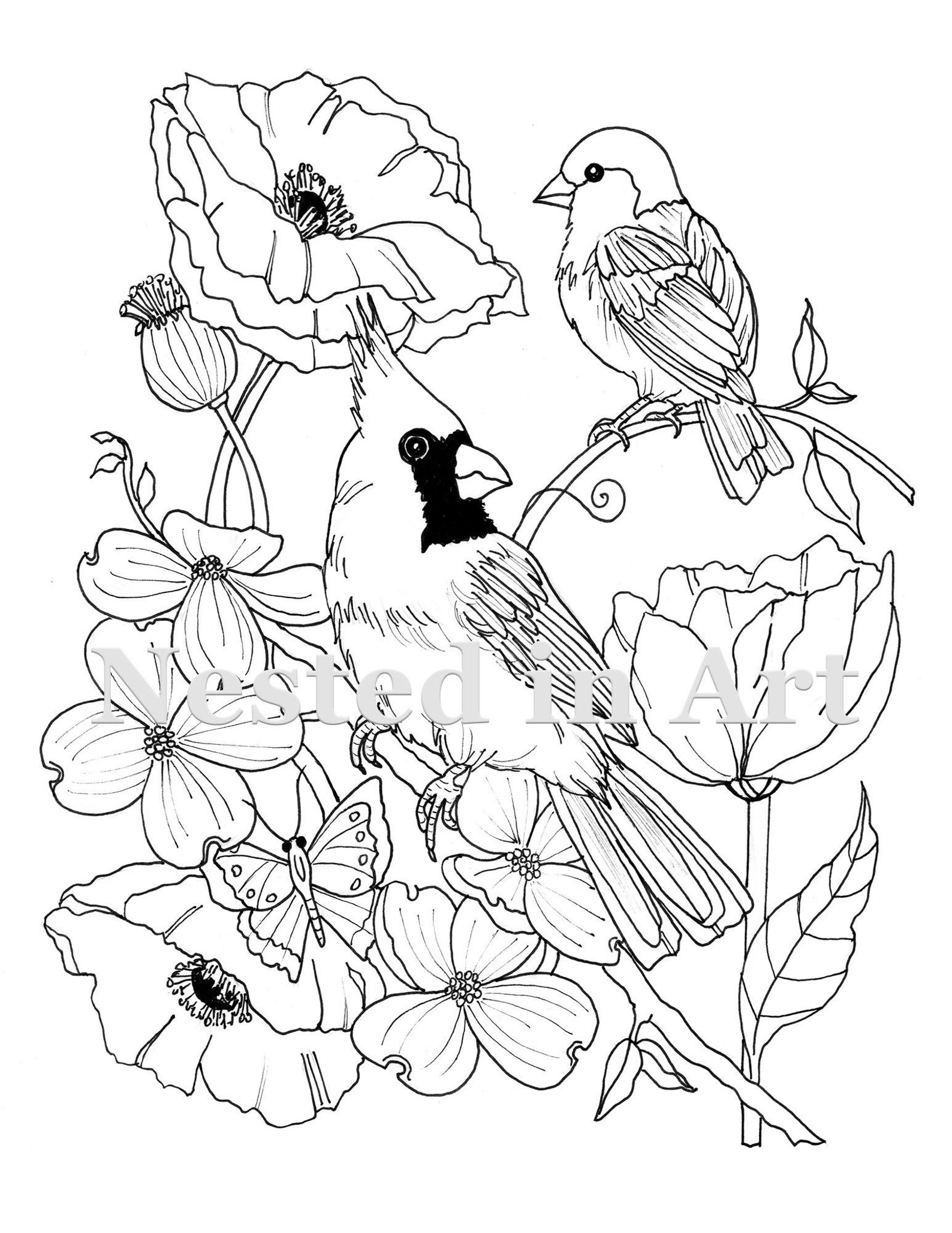 NEW - Adult Coloring Page - Cardinal and Sparrow With Dogwood and ...