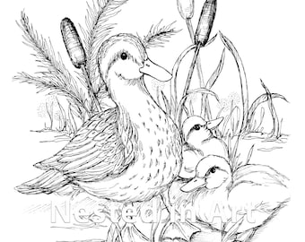Adult Coloring Page - Duck with baby chicks Digital Download