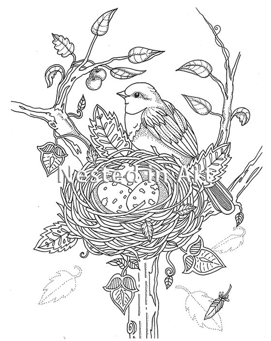 Bird Sits in a Nest Coloring Page Graphic by MyCreativeLife