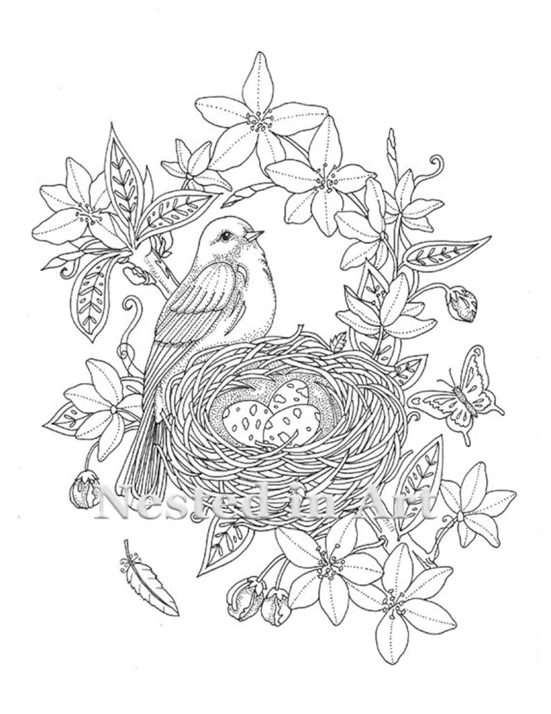 Punch Needle Pattern Coloring Book page Bird and Nest, Butterfly image 1