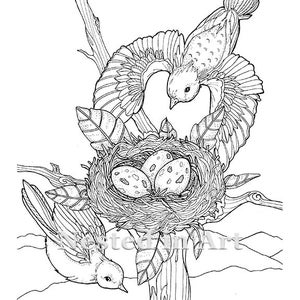 Punch Needle Pattern Coloring Book Page Tufted Titmouse and Flowers 