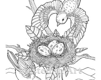 Adult Coloring Page - 2 Birds flying with Nest Digital Download