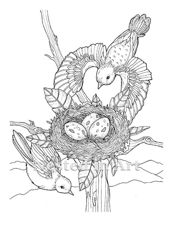 Bird Sits in a Nest Coloring Page Graphic by MyCreativeLife