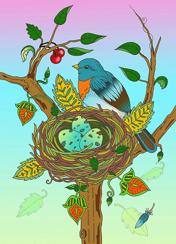 Adult Coloring Page Bird With Bird's Nest Original Art Digital