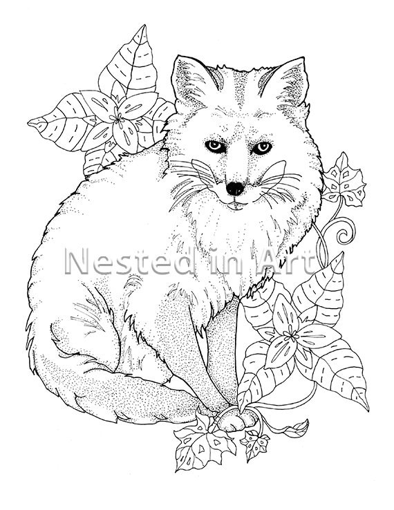 Punch Aiguille Motif Page De Livre De Coloriage Renard Etsy