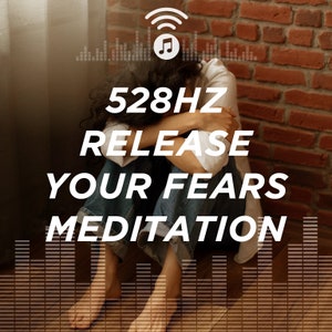 May include: Image with text: "528HZ RELEASE YOUR FEARS MEDITATION." A person is sitting with their head in their arms. The background includes a brick wall and a sound wave graphic with a musical note icon.