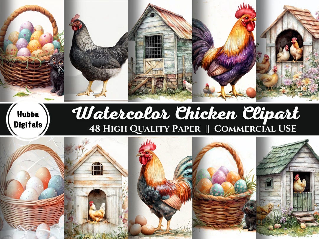 Watercolor Chicken Clipart, Cute Chickens and Chicks, Farm Animal PNG ...