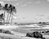 Kauai beach photography-  Palm Trees Coastal wall art Black and White Home Decor Hawaii travel photos Ocean Wall Art, Tropical ocean Prints