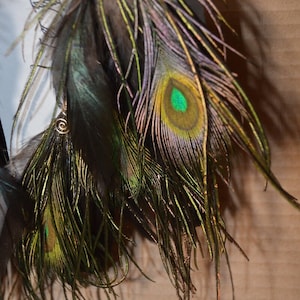May include: A pair of earrings made with peacock feathers. The feathers are green, brown, and iridescent. The earrings are attached to a silver wire.