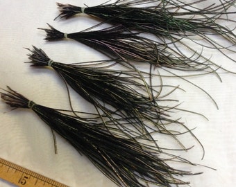Peacock Feather Barbs,  group of 5 bundles, great jewelery accent, fly fishing lure tying, feather fluff textile C12