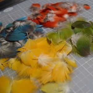 Tiny Parrot Feathers, 100 pieces, less than 1 inch, cruelty free, collected from my own birds, mix colors of red, yellow, green and blue,